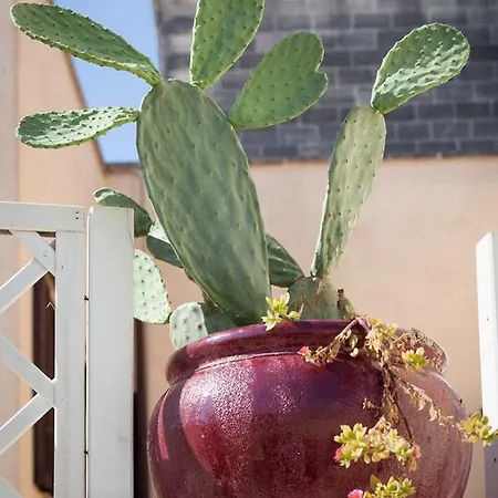 Bed & Breakfast Corte Dei Taralli Lecce