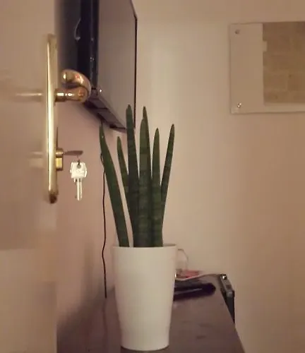 לינה וארוחת בוקר Corte Dei Taralli לצ'ה